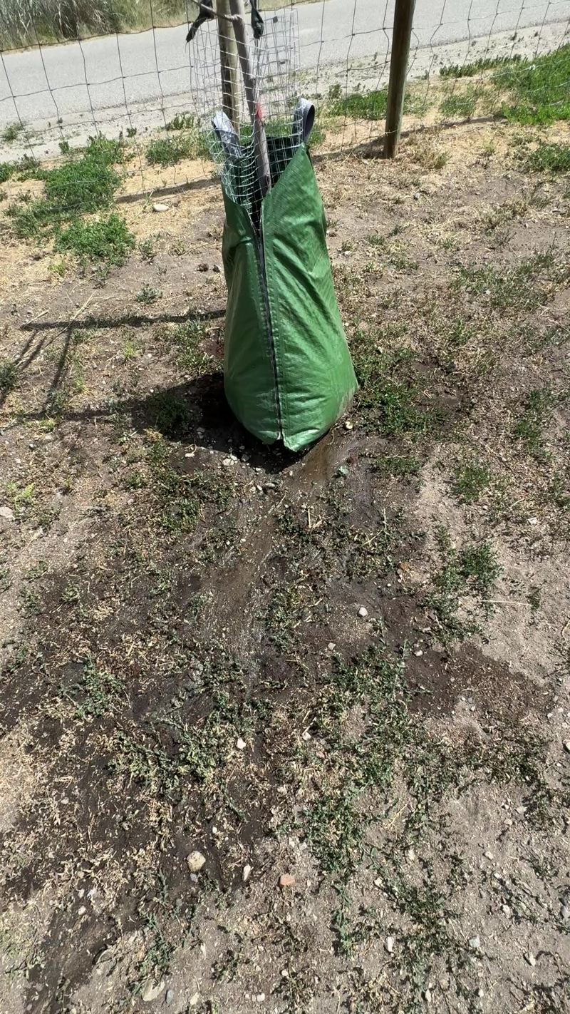 Runoff trail spreading downhill from a surface watering bag